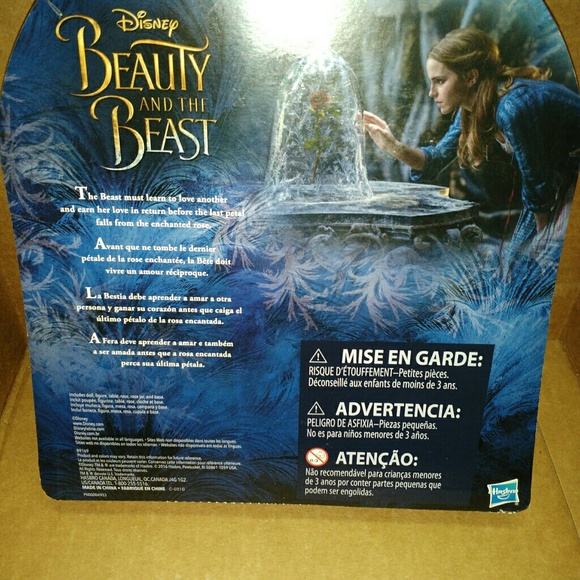 Beauty and the Beast Rose Scene - Picture 2 of 2